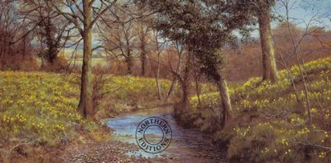Daffodil Brook - Print