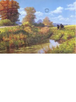 Still Water - Print