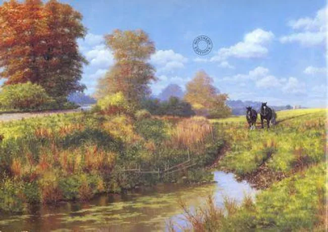 Still Water - Print
