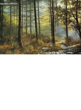 Winter Sunlight - Print