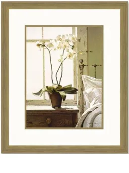 Bedside Orchid - Framed
