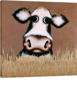 Hay Jude - Box Canvas