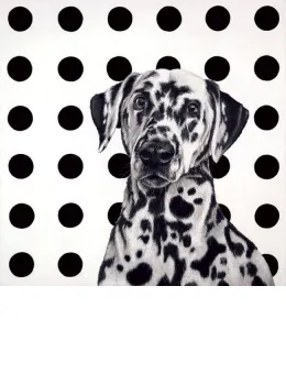 Spot The Dog - Canvas - Box Canvas