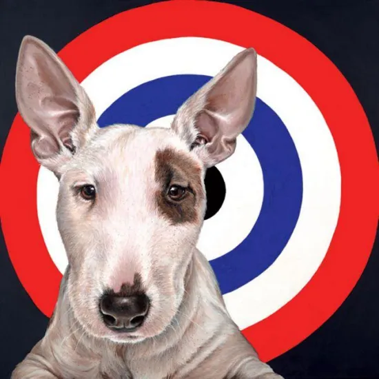 Bulls Eye